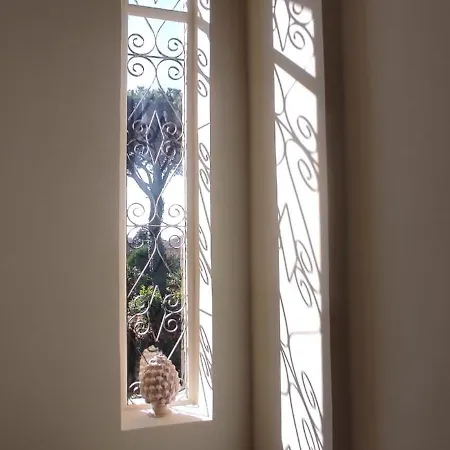Villa Lido Dei Pini 4 Persone Giardino 350Mq Wifi 3 Chilometri Dal Mare Villa